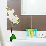 Aeolis Thassos Palace 4*