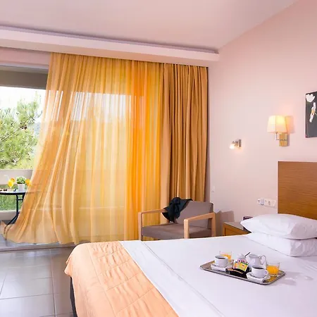 酒店 Aeolis Thassos Palace 4*