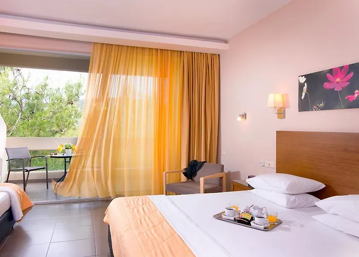 酒店 Aeolis Thassos Palace 4*