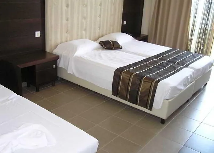 酒店 Aeolis Thassos Palace 4*